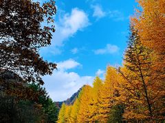 -光雾山旅游景区