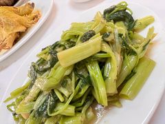 -新陶陶酒家
