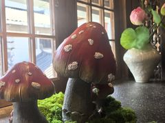-菌自由丨野生菌火锅特色庭院餐厅(丽江古城店)