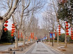 -惠山古镇·寄畅园