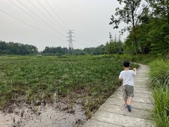 -桤木河湿地公园