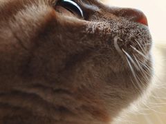 -印咖啡IN COFFEE(红旗街店)