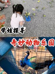 -萌宠亲子动物乐园(槐房万达店)