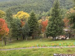 -玉水寨丽江源餐厅