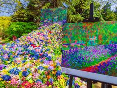 -上海共青森林公园