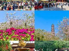-广州莲花山旅游区