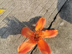 -南海迎宾馆·经典南海菜