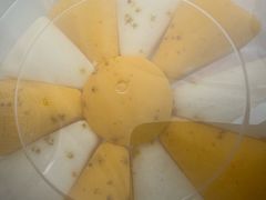 -来之顺海鲜菜馆·青岛菜·始于1993(栈桥店)