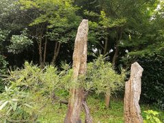 -杭州植物园