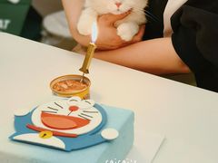 -法桐蛋糕·手作面包(万象城店)