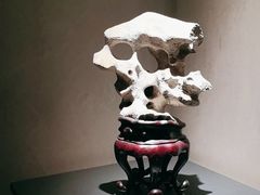 -觀芷隐轩