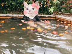 -深业半汤御泉庄温泉