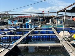 -蓝湾碧波·老字号·疍家非遗海上餐厅