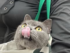 -宠颐生宠物医院·心肾内科·猫专科诊疗中心宠巢店