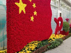 -上海鲜花港