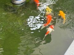 -漫笙舍Manse·咖啡·民宿
