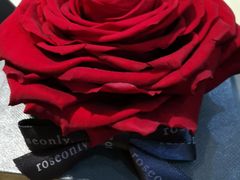 -ROSEONLY诺誓(青岛万象城店)