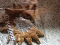-Sunflour(来福士店)