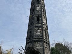 -上海佘山国家森林公园天马山园