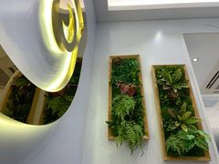 -CoCo都可(西湖文化广场店)