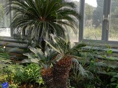 -国家植物园南园