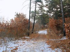 -沈阳辉山风景区