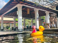 -厦门日月谷温泉渡假村