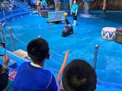 -烟台海昌鲸鲨海洋公园