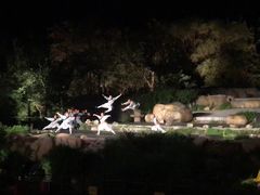-禅宗少林·音乐大典