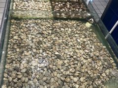 -大润发(莱州店)