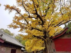 -晋祠公园