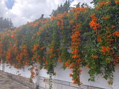 -瑞丰园庭院餐厅·白族传统家常菜