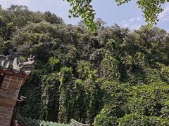 -千佛山风景名胜区