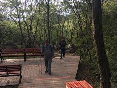 -大岭沟猕猴桃谷风景区