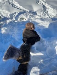 -DL HOPE明星造型