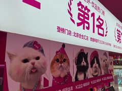 -K22.酸奶草莓(烟台芝罘店)