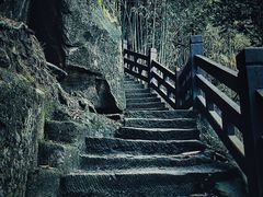 -缙云山景区