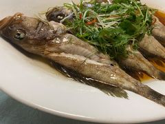 野生斑鱼-宜兴隆家宴·私房菜(泰安华庭店)