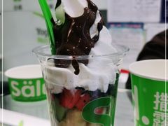 -Salud撒露欧洲冻酸奶(蓝色港湾店)