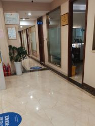 -碧莲盛·不剃发植发