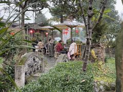 -青城甲(青城山店)