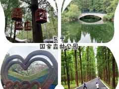 -东平国家森林公园