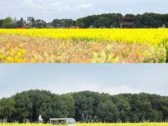 -中国天府农业博览园