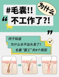 -Bollins波林丝•专研护发中心