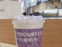 -一只酸奶牛(大融城店)