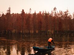 -白鹭湾湿地公园