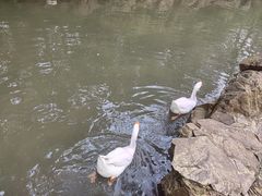 -兰亭风景区