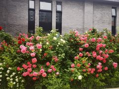 -太阳宫公园