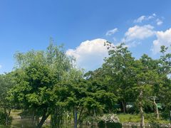 -鹅湖玫瑰文化园