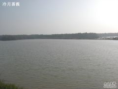 -大湾区中央湿地公园
